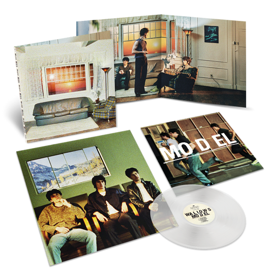 'MODEL' (STANDARD CLEAR VINYL)
